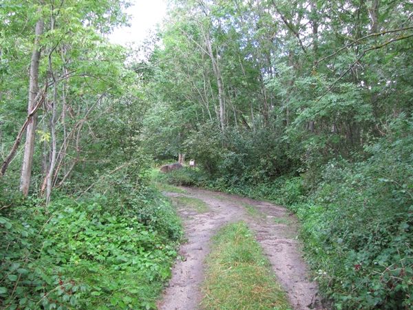 Foto: Heiki Koov, august 2012. 