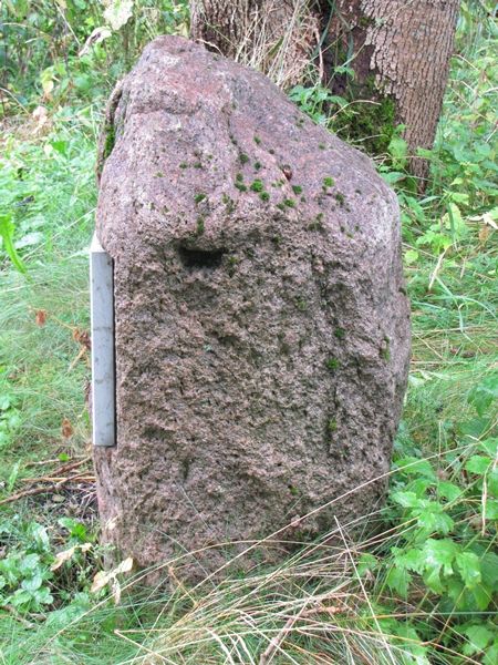 Foto: Heiki Koov, august 2012. 