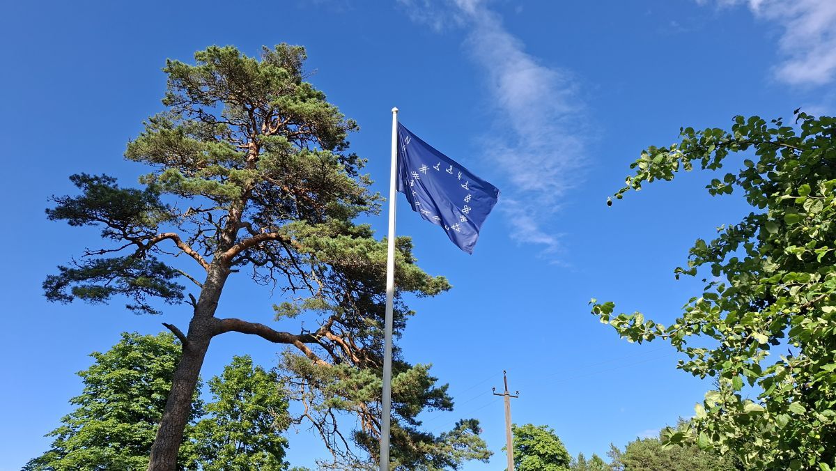 Foto: Heiki Koov, juuli 2026. 