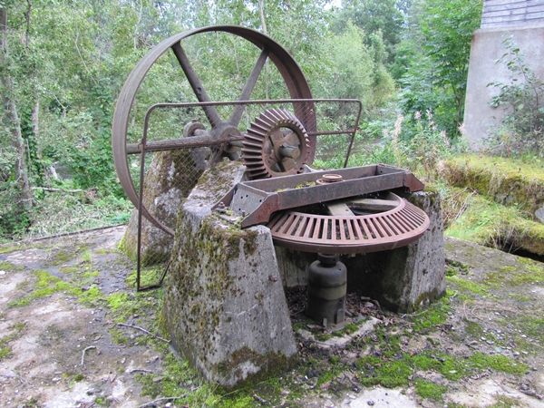 Foto: Heiki Koov, august 2010. 