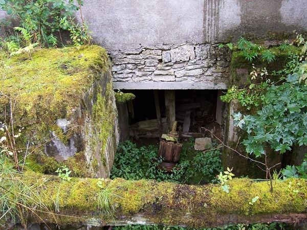 Foto: Heiki Koov, august 2007. 