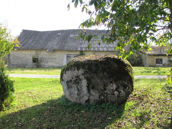 Foto: Heiki Koov, oktoober 2010. 