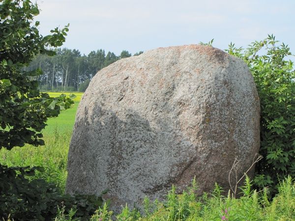 Foto: Heiki Koov, juuni 2013. 