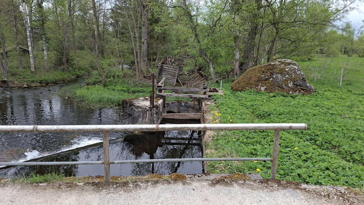 Foto: Heiki Koov, mai 2026