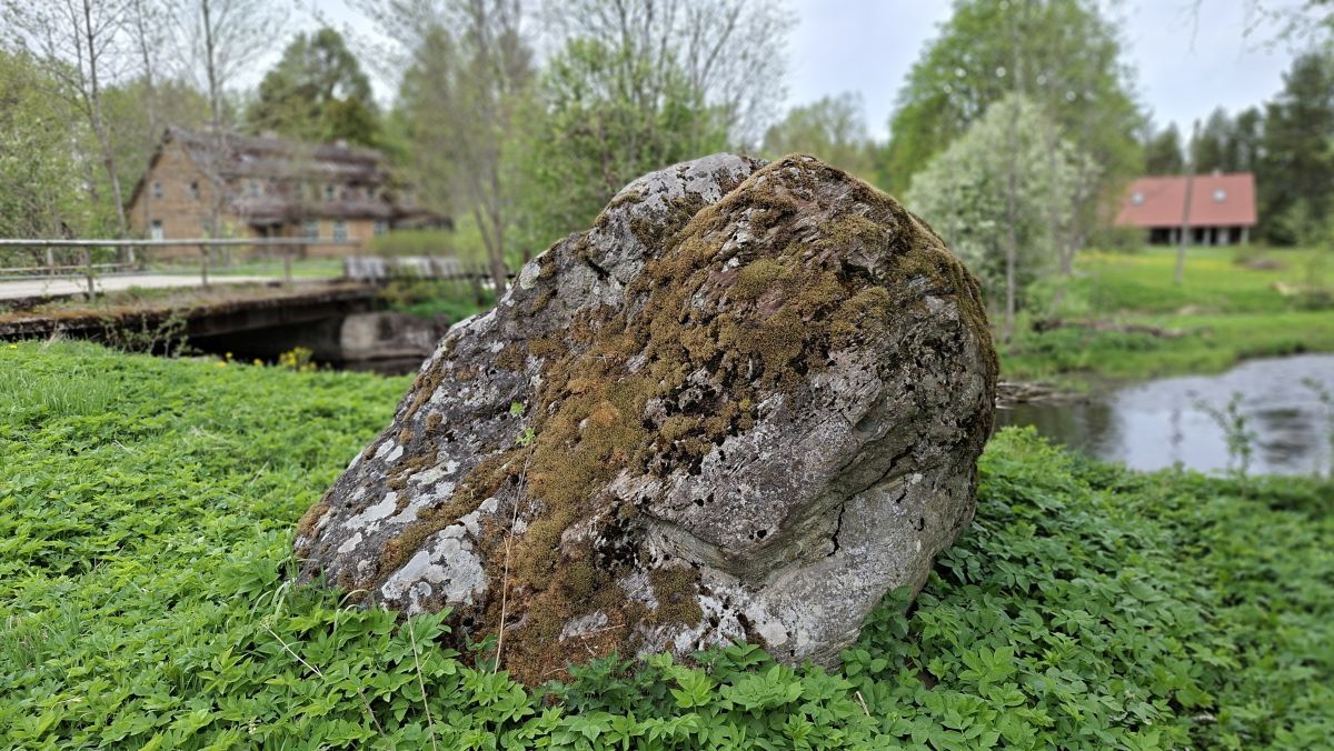 Foto: Heiki Koov, mai 2026