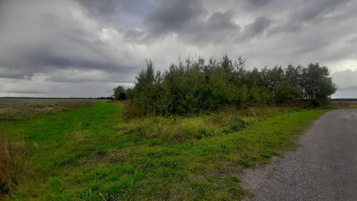 Foto: Heiki Koov, august 2025. 