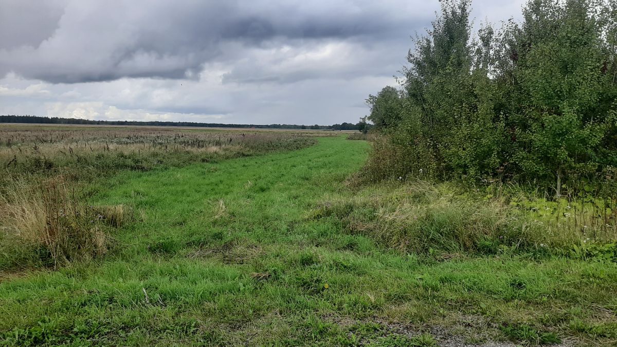 Foto: Heiki Koov, august 2025. 