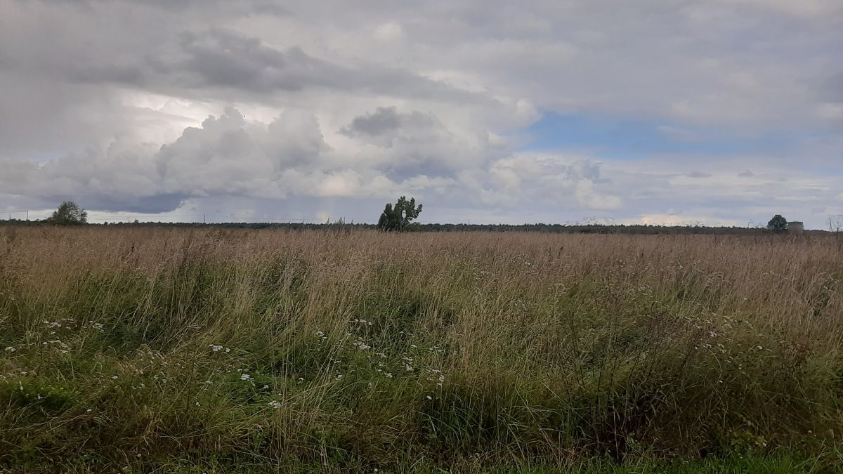 Foto: Heiki Koov, august 2025. 