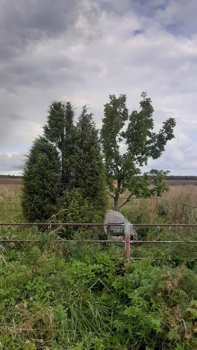 Foto: Heiki Koov, august 2025. 