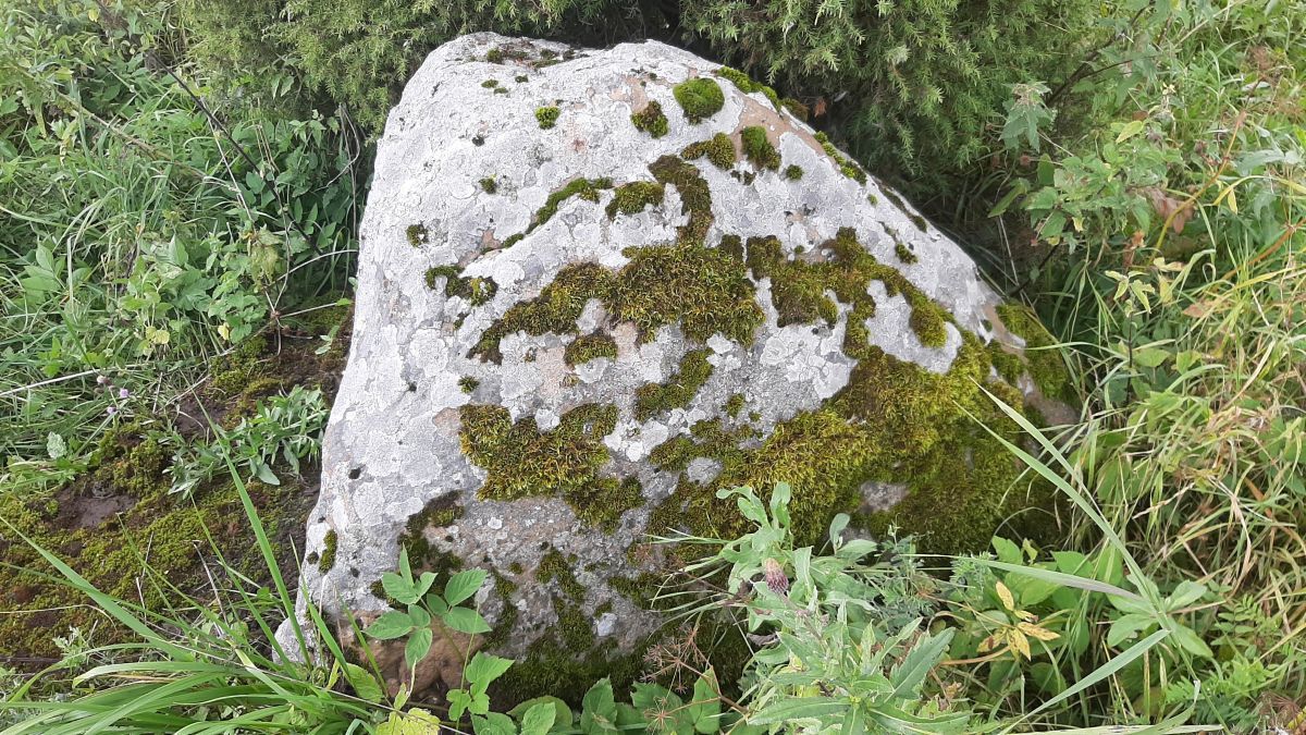 Foto: Heiki Koov, august 2025. 