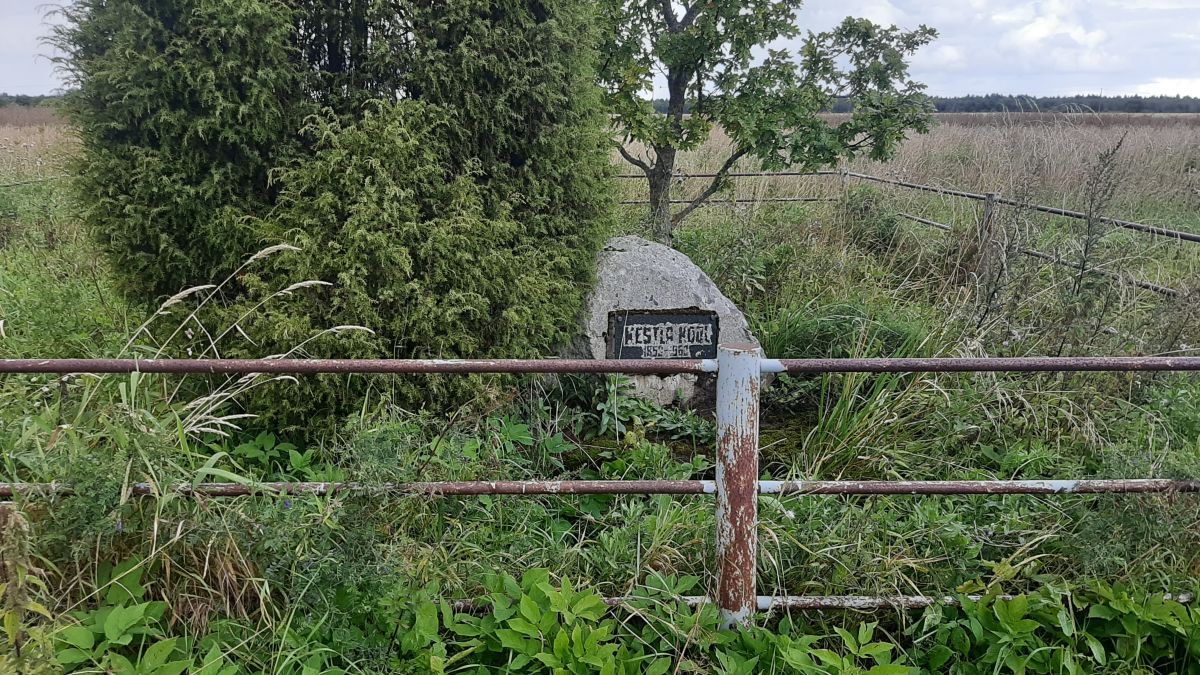 Foto: Heiki Koov, august 2025. 