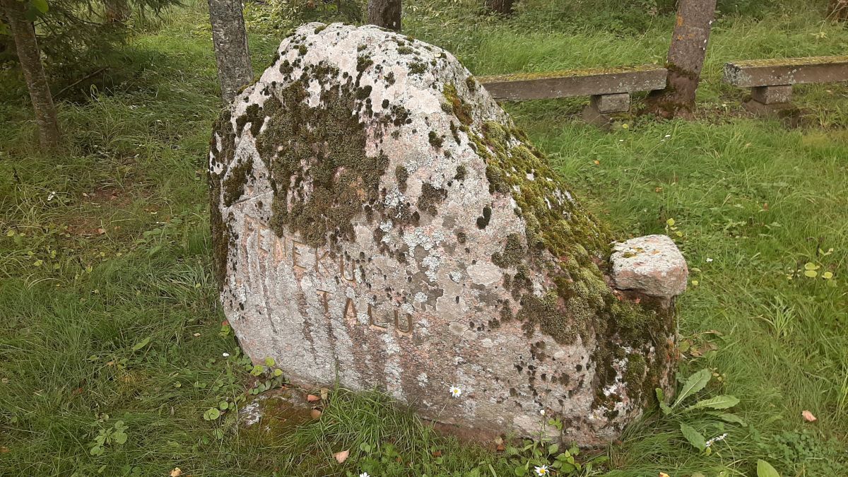 Foto: Heiki Koov, august 2025. 