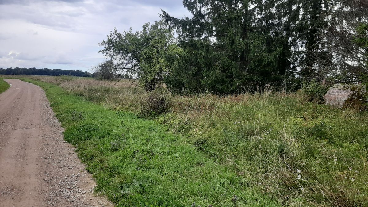 Foto: Heiki Koov, august 2025. 