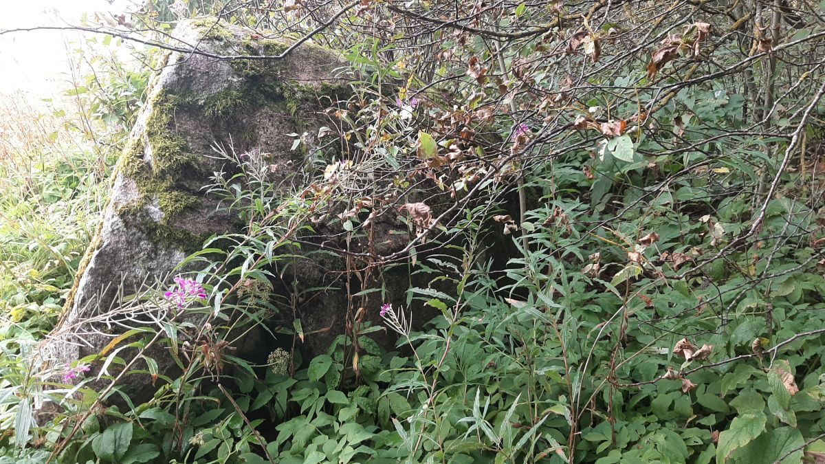 Foto: Heiki Koov, august 2025. 