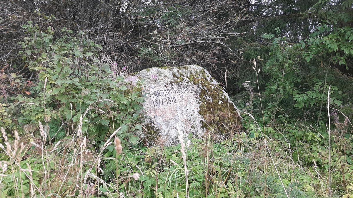 Foto: Heiki Koov, august 2025. 