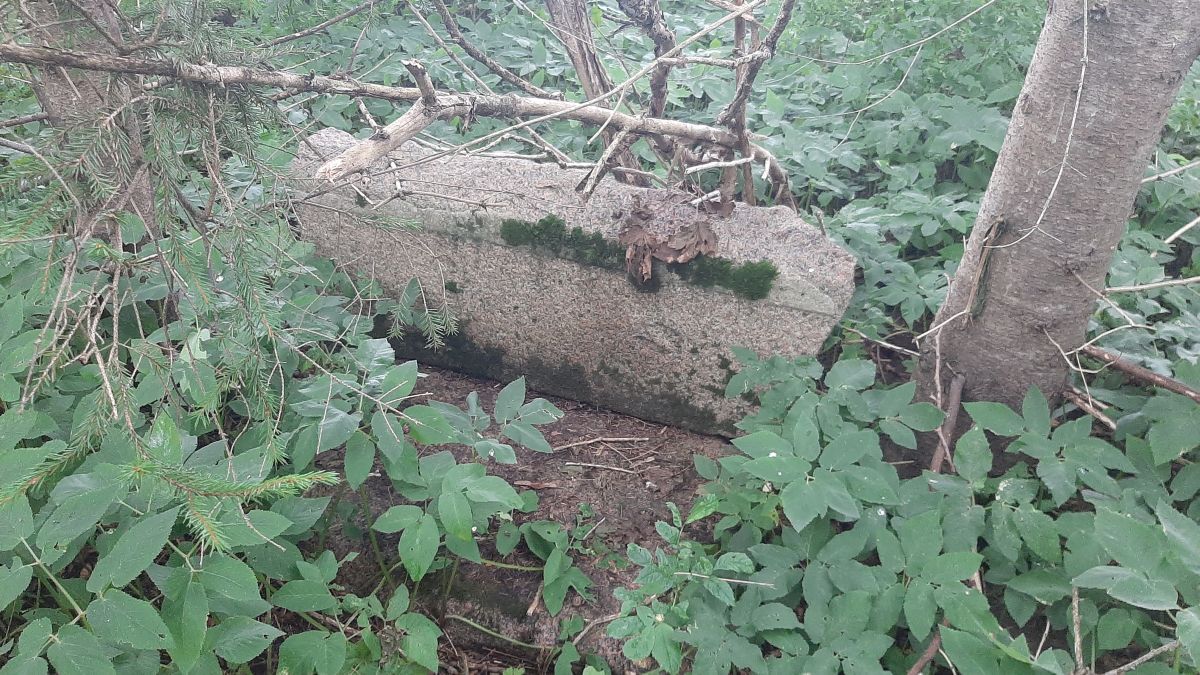 Foto: Heiki Koov, august 2025.