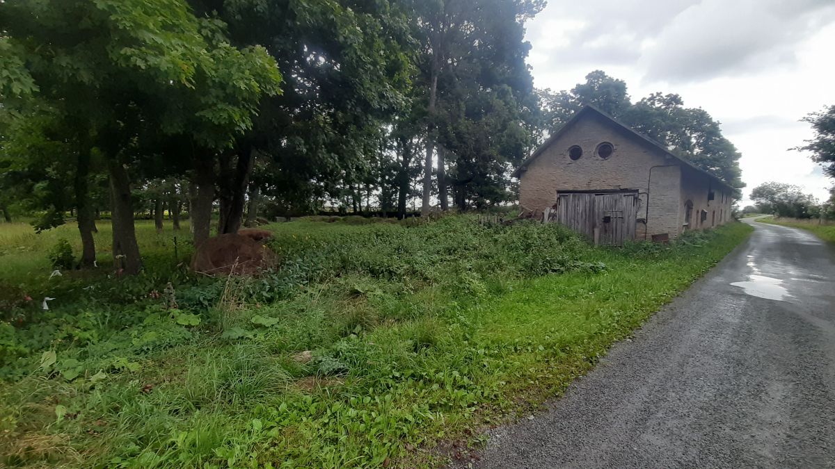 Foto: Heiki Koov, august 2025.